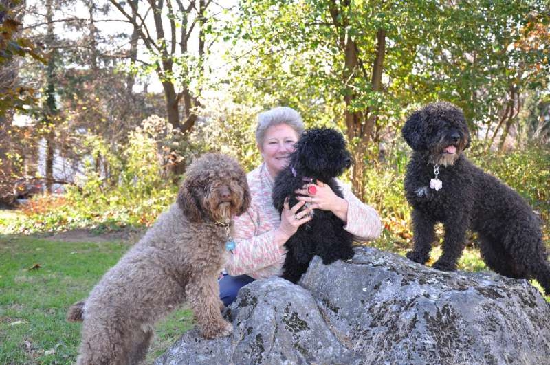 Dr. Colleen Nolan, Dean of the School of Natural Sciences and Mathematics, and her three Spanish water dogs