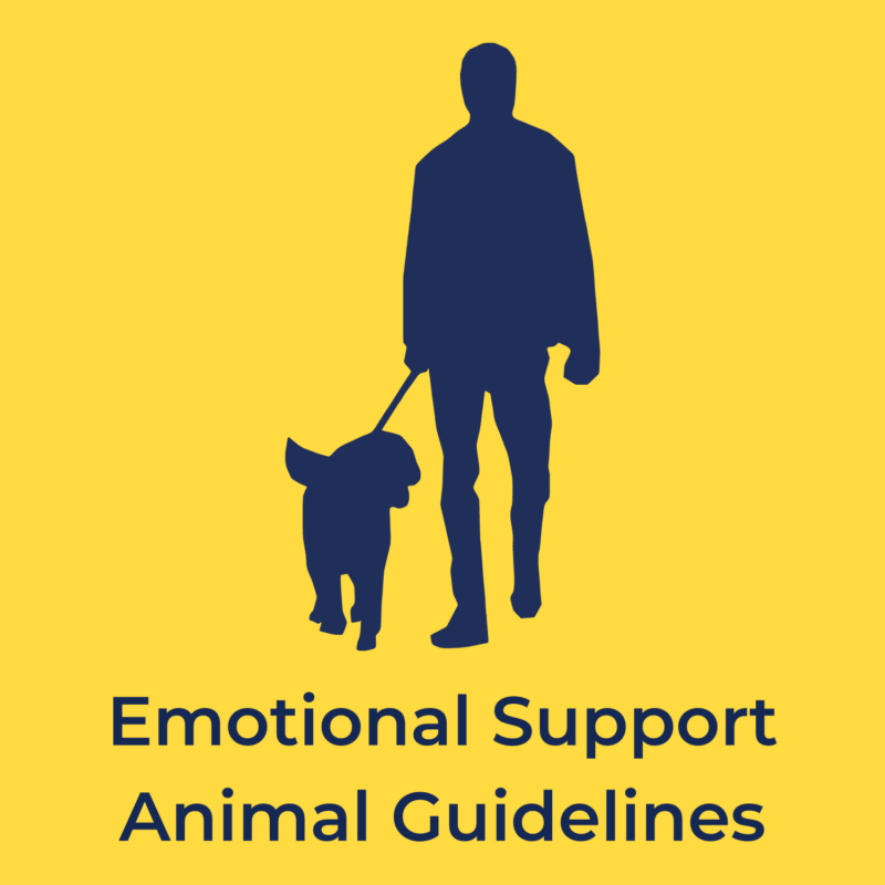yellow background with a silhouette of a person walking a dog, and underneath reads "emotional support animal guidelines"