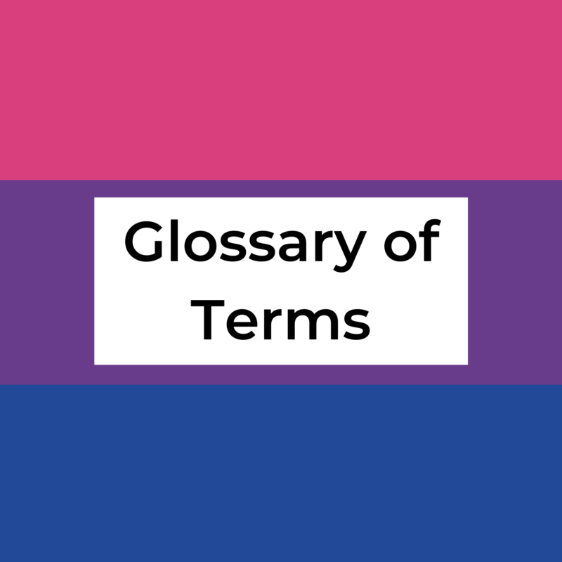 background is bisexual flag, it reads "glossary of terms"
