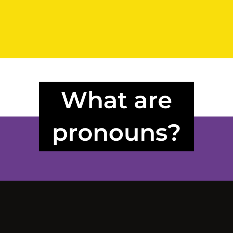 background is non-binary pride flag, in the center is a black rectangle reads "what are pronouns?"