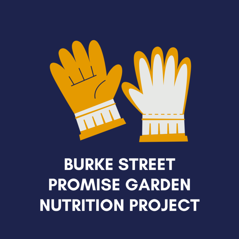 Burke Street Promise Garden Nutrition Project
