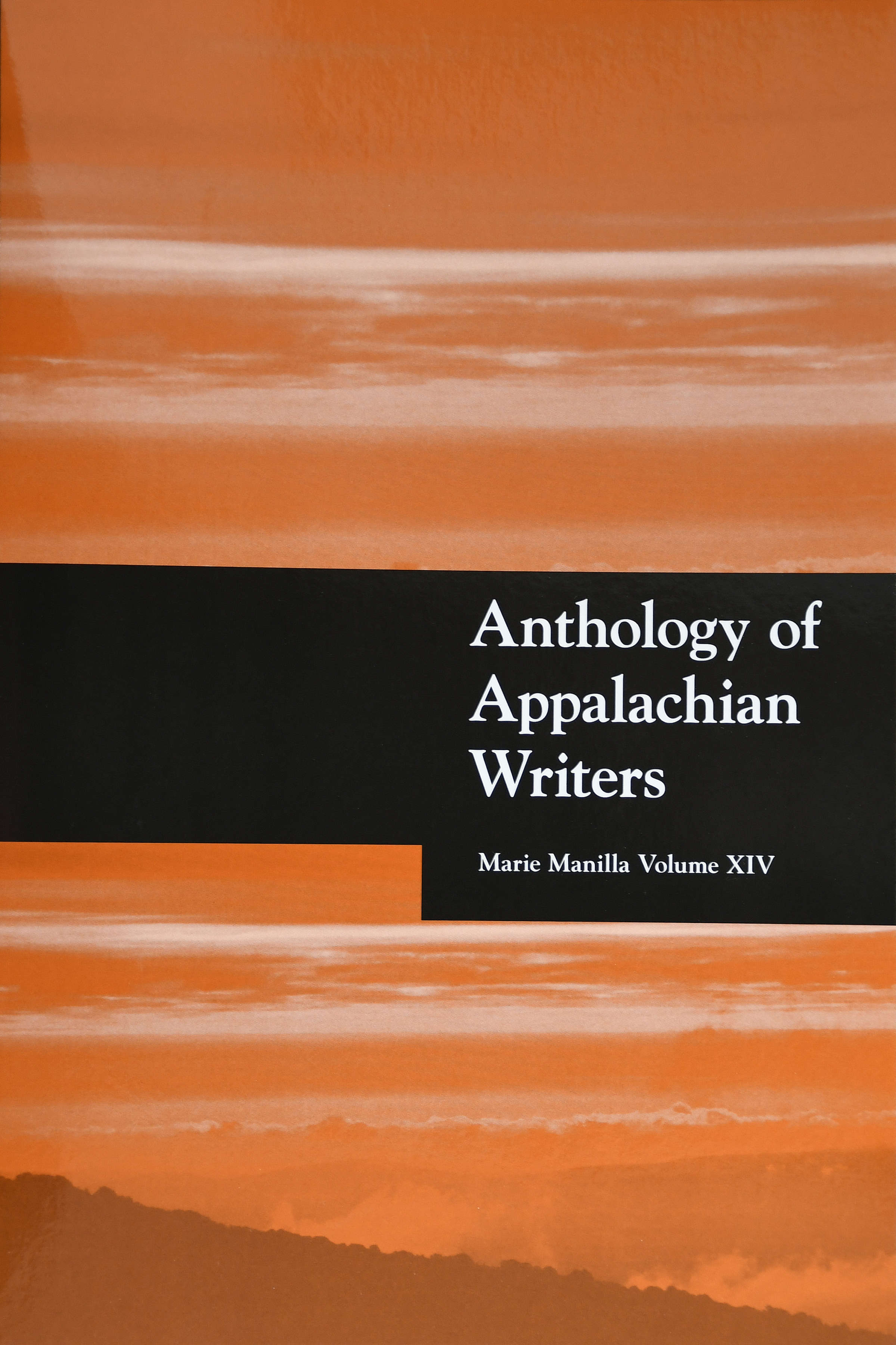 Photo of Anthology book cover.