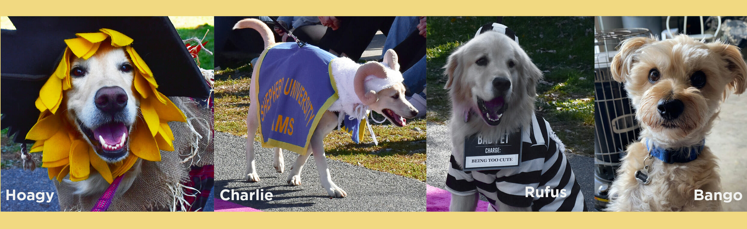 Shepherd University Paw Parade offers pawsome time to all