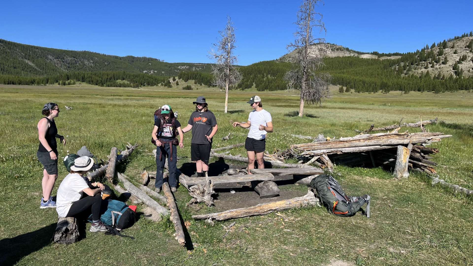 Photos of students in a field near a downed tree at Yellowstone