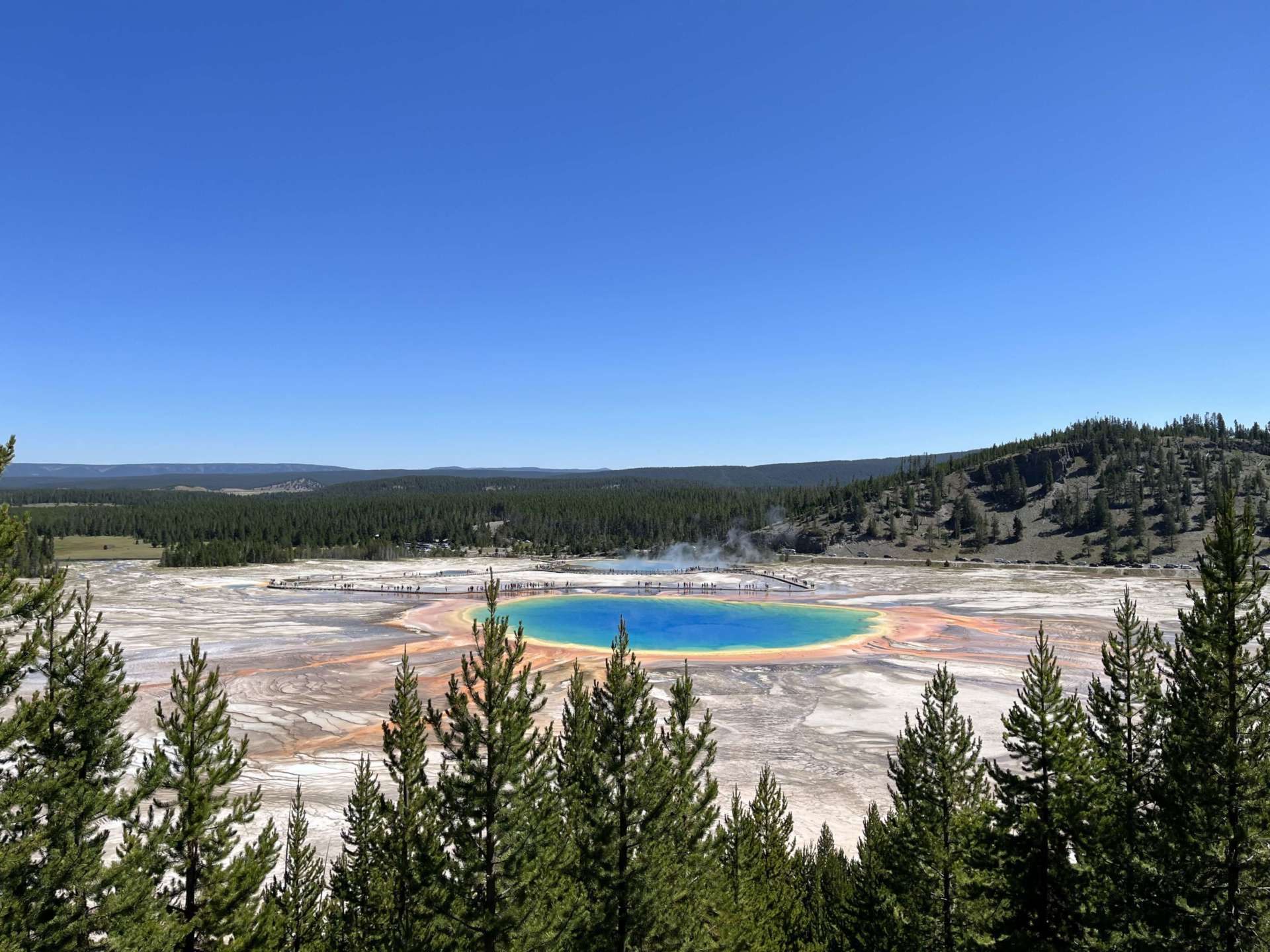 Photo of a bright blue/green thermal pond at Yellowstone.