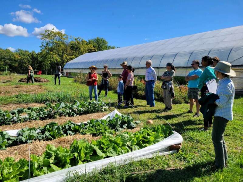 Madison Hale giving tour of Tabler Farm