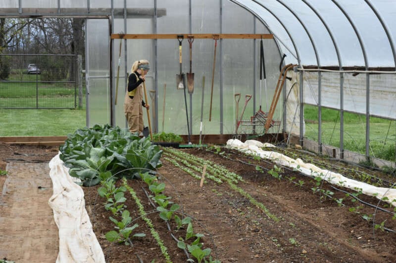 Madison Hale, farm manager, works in the Tabler Farm greenhouse.