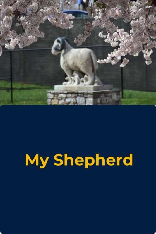 EDPD My Shepherd Button