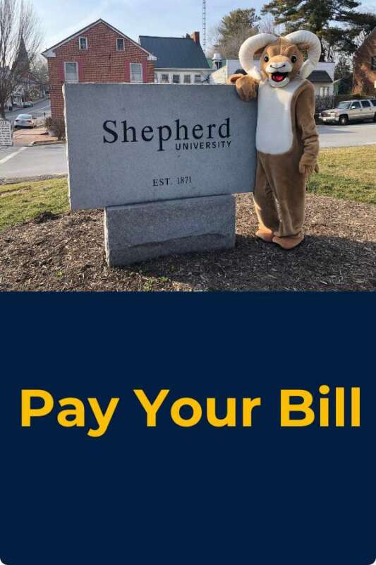Pay Your EDPD Bill Button