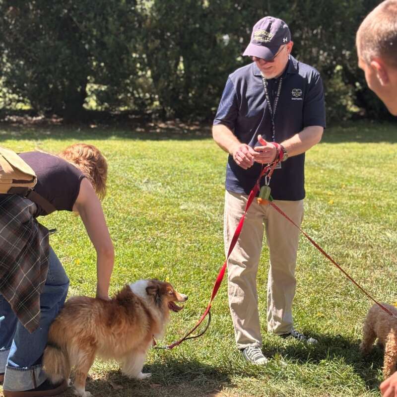 Shepherd University President Dr. Cameron B. Wesson and students participate in a pet-friendly campus welcome event, interacting with dogs on a grassy lawn during student engagement activities in Shepherdstown, West Virginia.